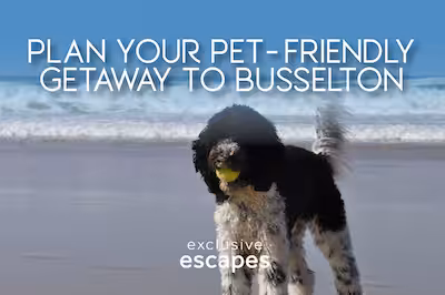 Pet Friendly Busselton