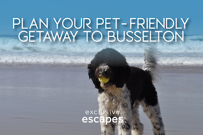 Pet Friendly Busselton