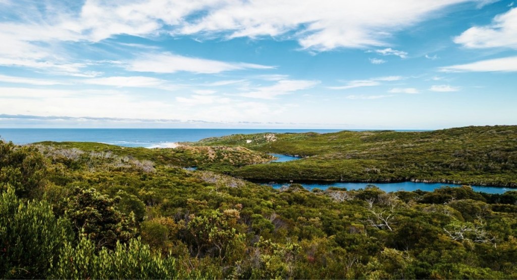 Native bushland and a sheltered coastal inlet in the Margaret River region with the Indian Ocean in the background