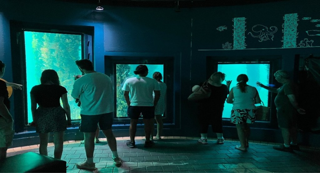 Visitors looking through the viewing windows at marine life inside the Busselton Underwater Observatory
