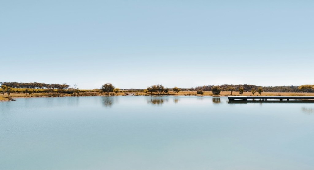 Tranquil dam and jetty at Cheeky Monkey Brewing Co, Margaret River, with golden farmland and native trees 